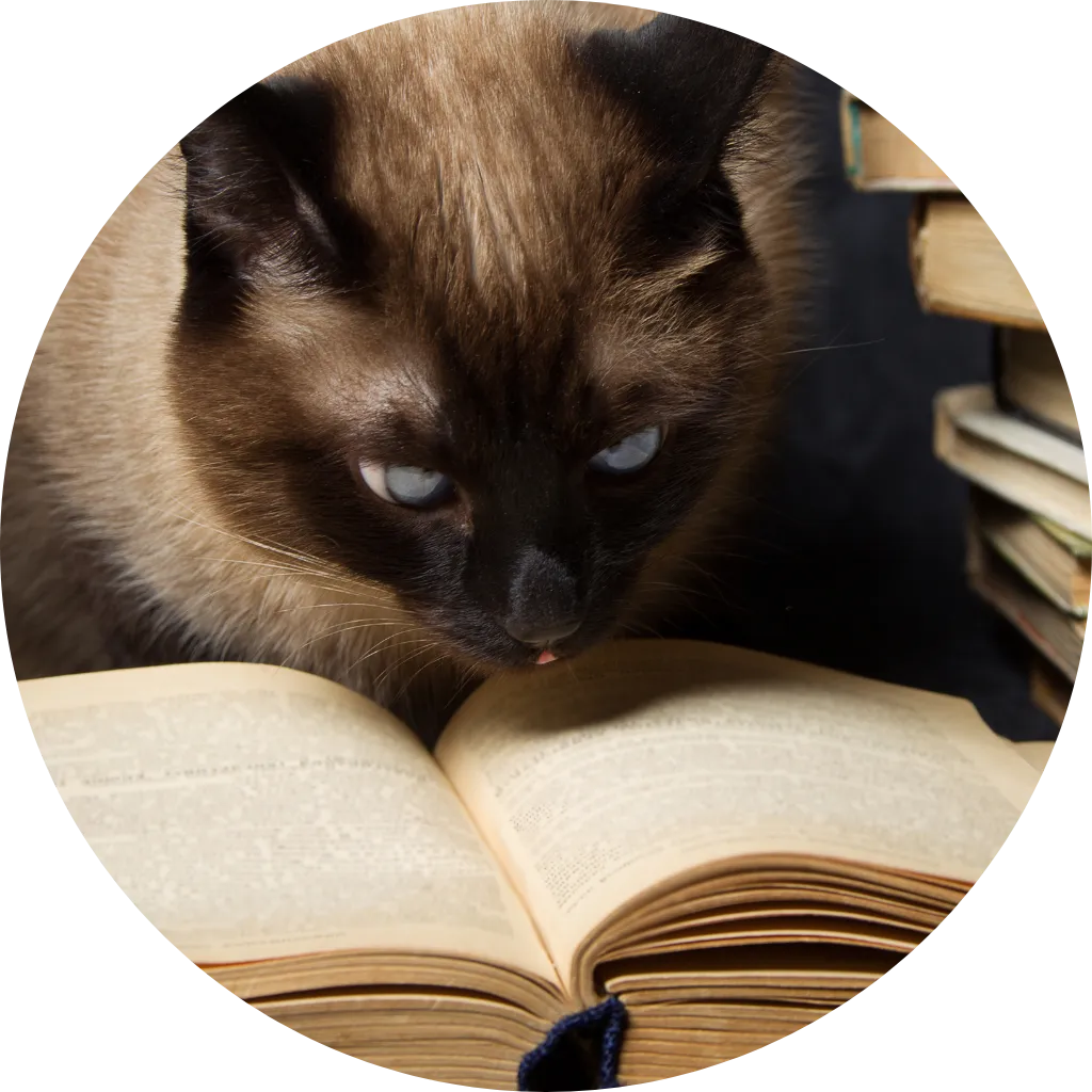 WildTales Publishing