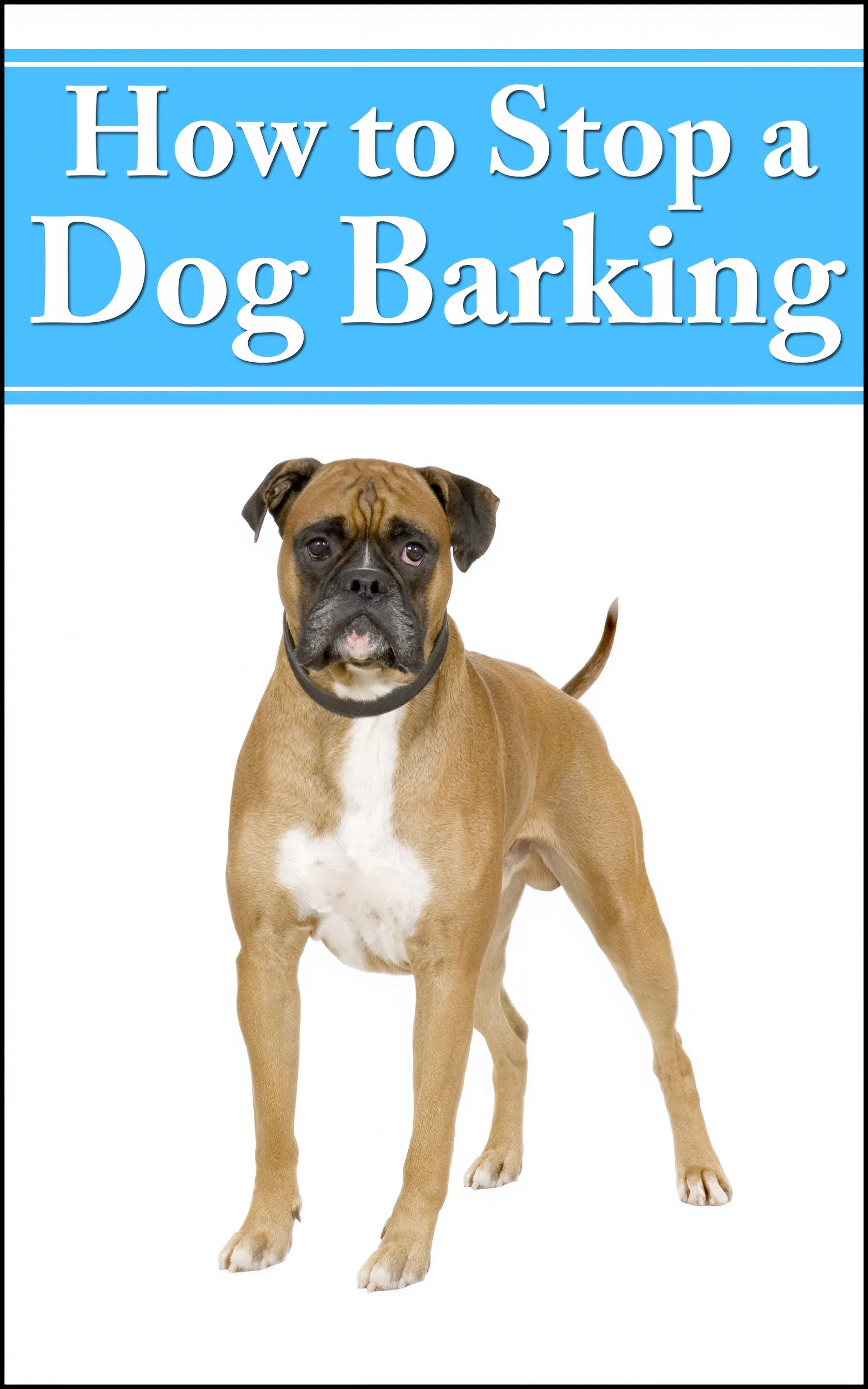 How to Stop Dog Barking Behavioral Fixes That Work - Practical Guide to Effective Canine Behavior Management for Pet Owners and Trainers 4