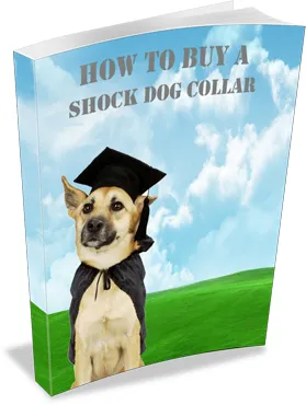 How to Buy a Shock Collar Tools & Tips for Responsible Training - Practical Guide for Pet Owners and Trainers