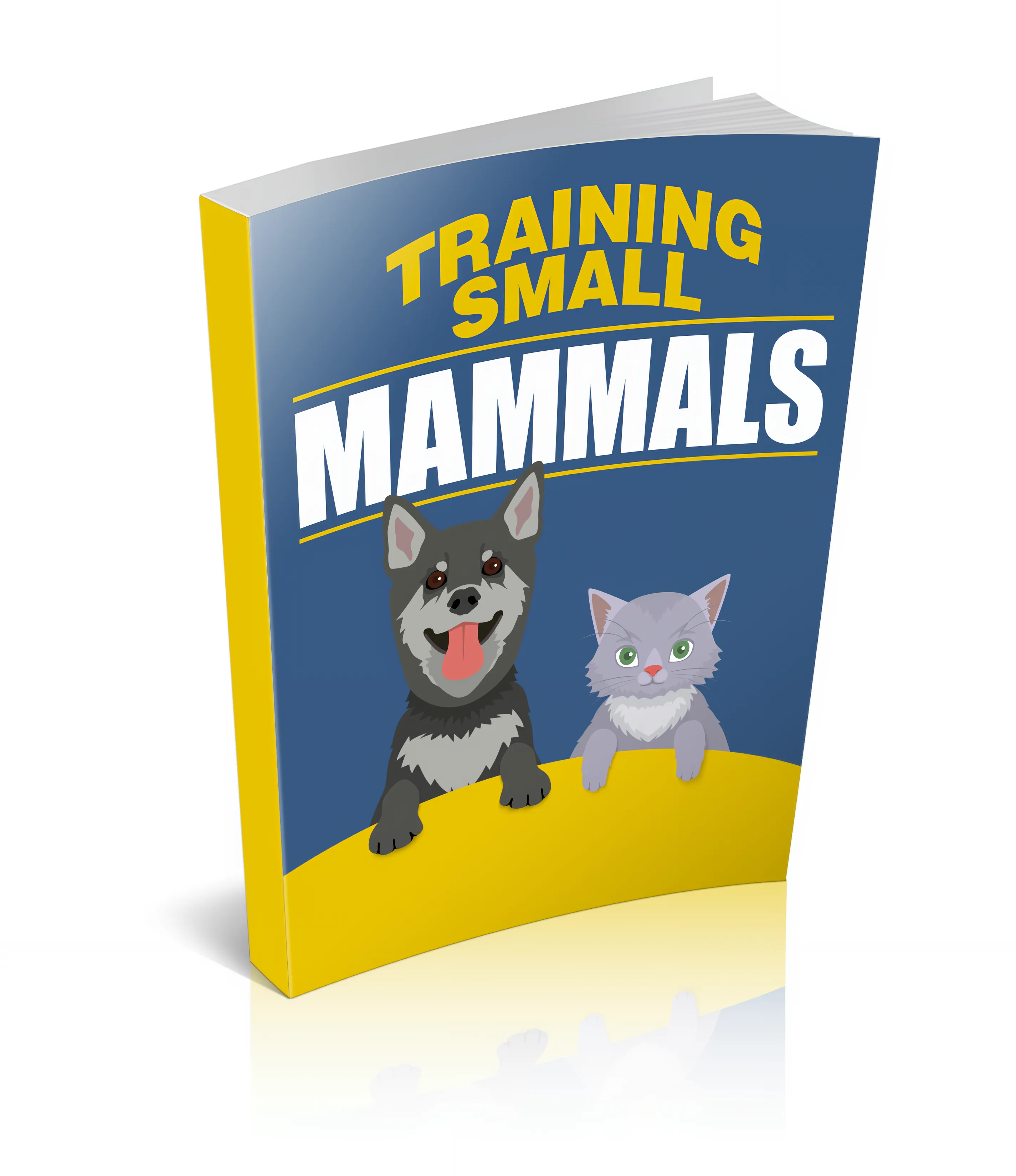 Training Small Mammals Behavior Tips for Hamsters Rats More - Practical Guide for Pet Owners and Animal Enthusiasts 5