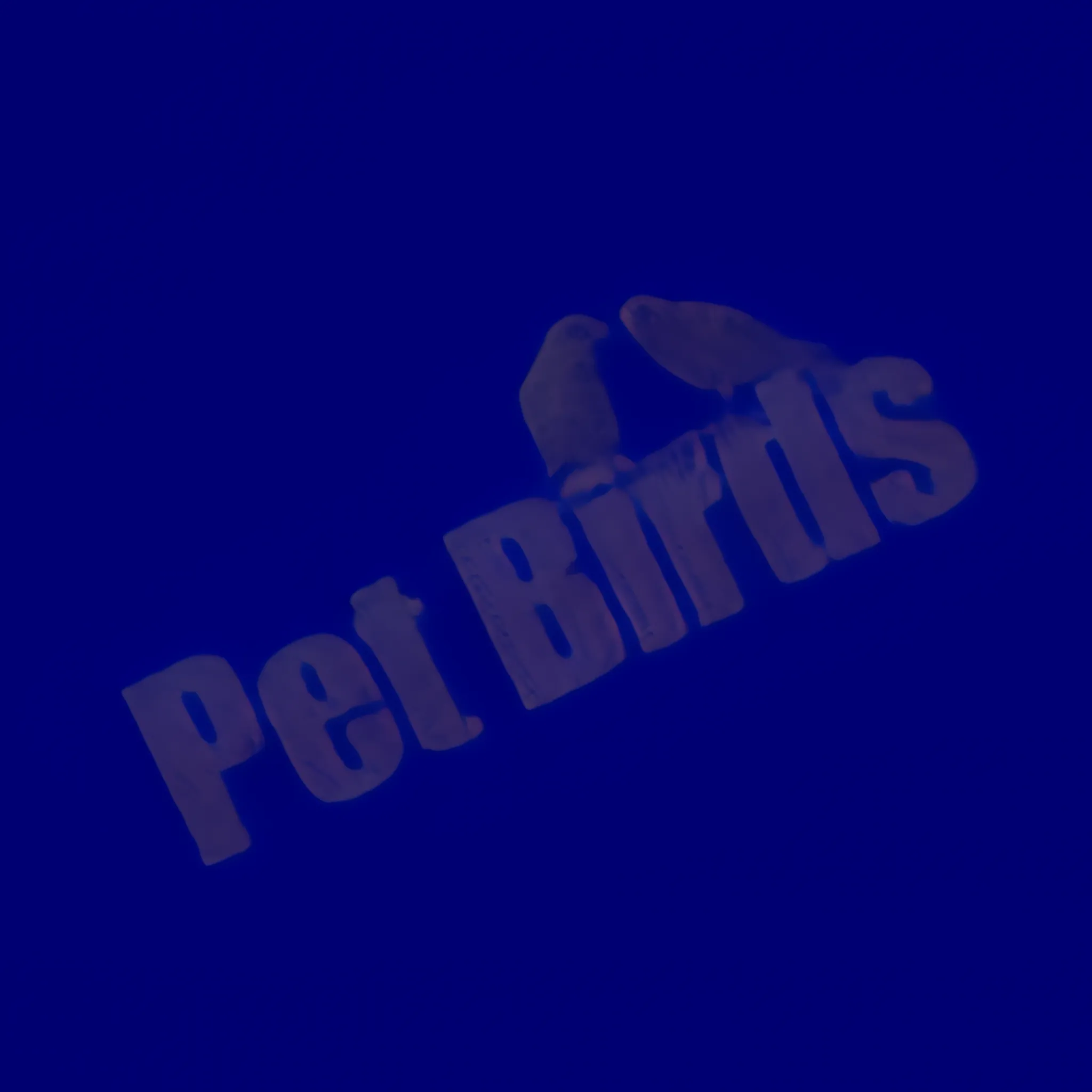 Pet Birds Care Feeding Cage Setup Essentials - Comprehensive Guide for Bird Owners and Enthusiasts 5