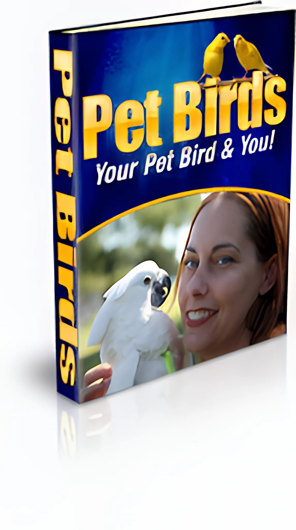 Pet Birds Care Feeding Cage Setup Essentials - Comprehensive Guide for Bird Owners and Enthusiasts 6