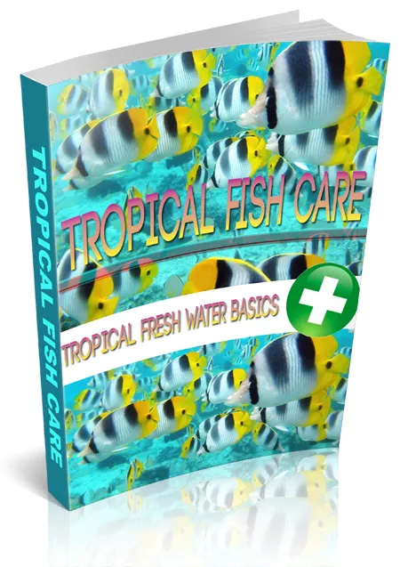Tropical Fish Care Aquarium Setup & Fish Health Guide - Comprehensive Digital Guide for Aquarium Enthusiasts and Pet Care 4