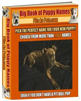 The Big Book of Puppy Names - Creative Ideas and Meaningful Choices for New Dog Owners and Enthusiasts