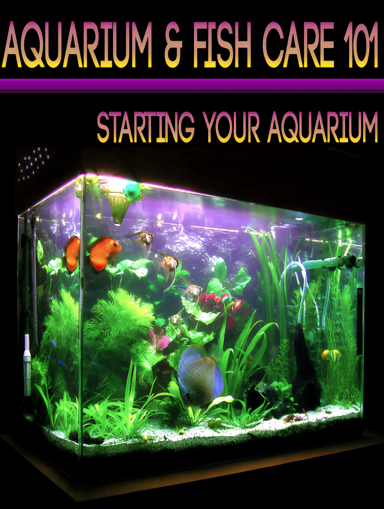 Aquarium & Fish Care 4 Books Complete Aquatic Life Series - Expert Guides for Enthusiasts and Aquatic Hobbyists 6