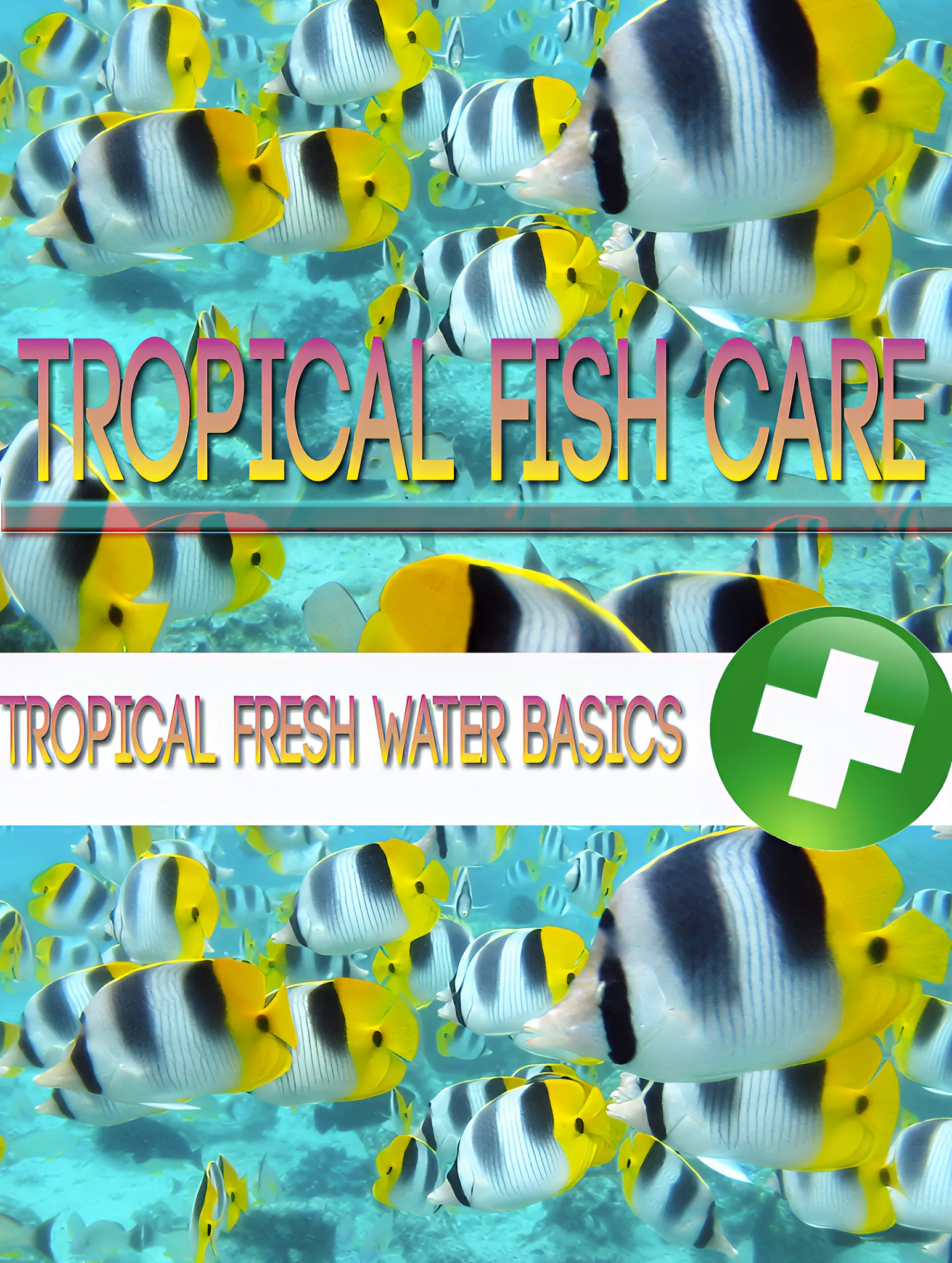 Tropical Fish Care Aquarium Setup & Fish Health Guide - Comprehensive Digital Guide for Aquarium Enthusiasts and Pet Care 6