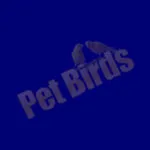 Pet Birds Care Feeding Cage Setup Essentials - Comprehensive Guide for Bird Owners and Enthusiasts 4