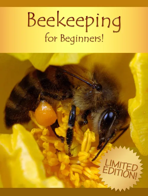 Beekeeping for Beginners Intro to Hive Care & Honey Harvesting - Practical Guide for New Apiarists and Sustainable Honey Farming 2025-2026 6