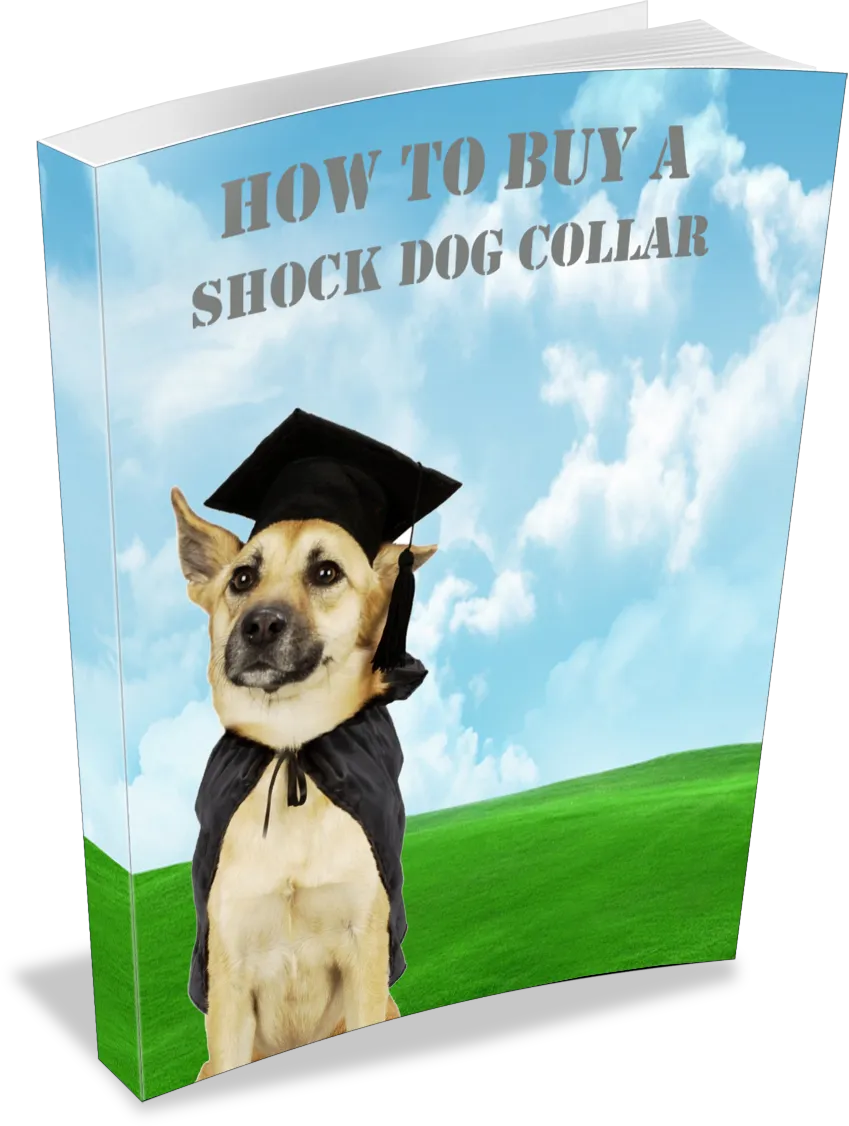 How to Buy a Shock Collar Tools & Tips for Responsible Training - Practical Guide for Pet Owners and Trainers 5