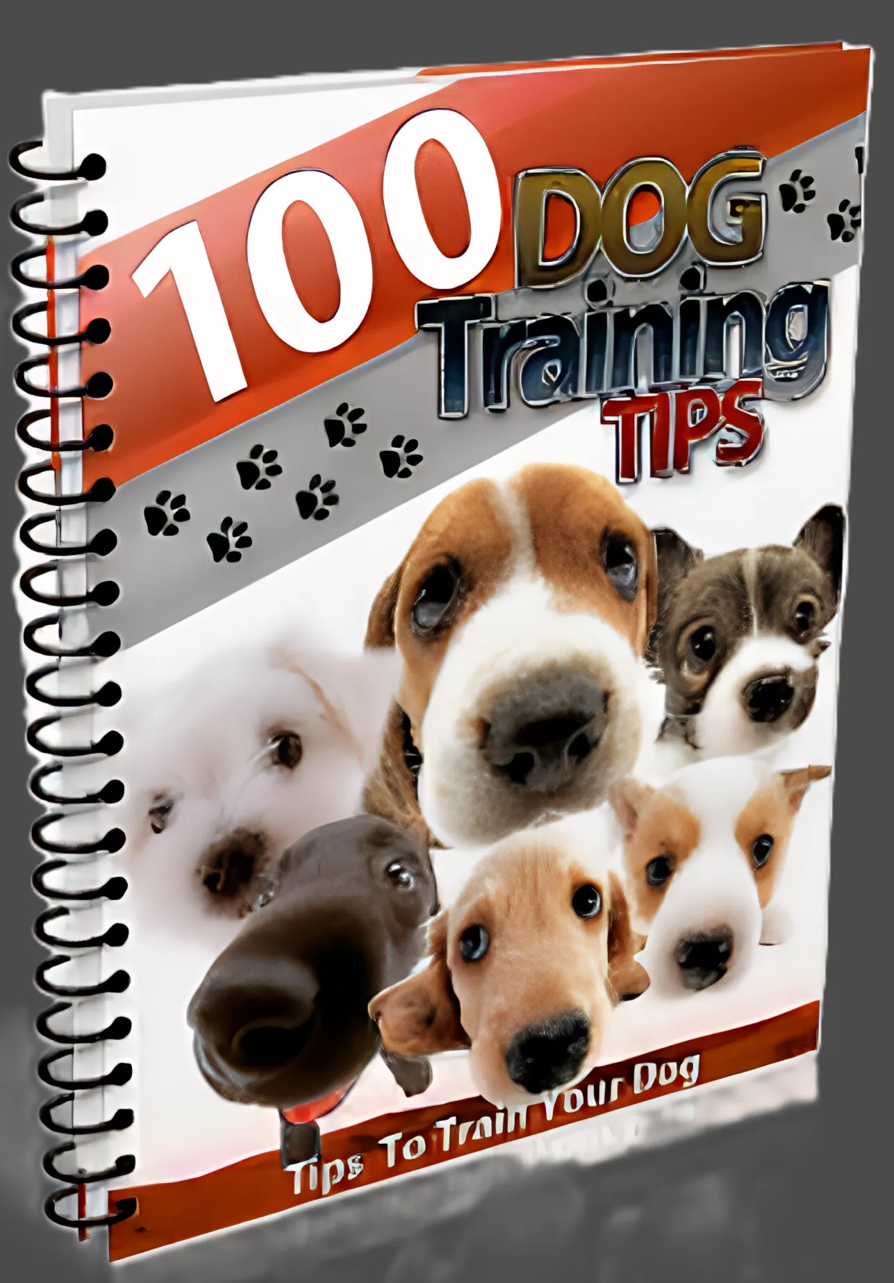 100 Days Dog Training Tips Free Advanced Training Techniques - Expert Guide for Effective Canine Training and Behavior Mastery 5