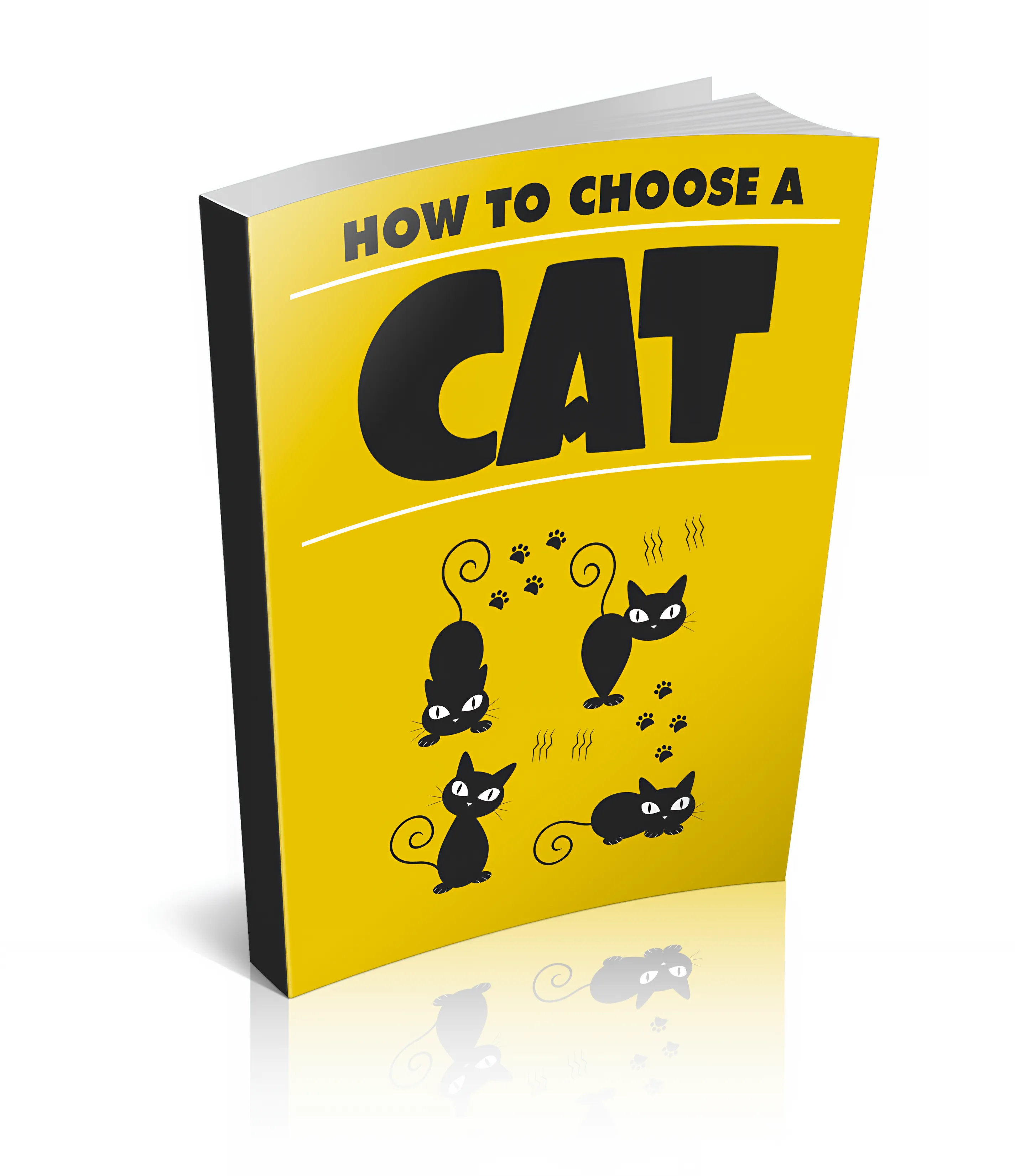 How to Choose a Cat Adoption & Personality Matching Guide - Expert Tips for Pet Lovers and Successful Cat Adoption 6