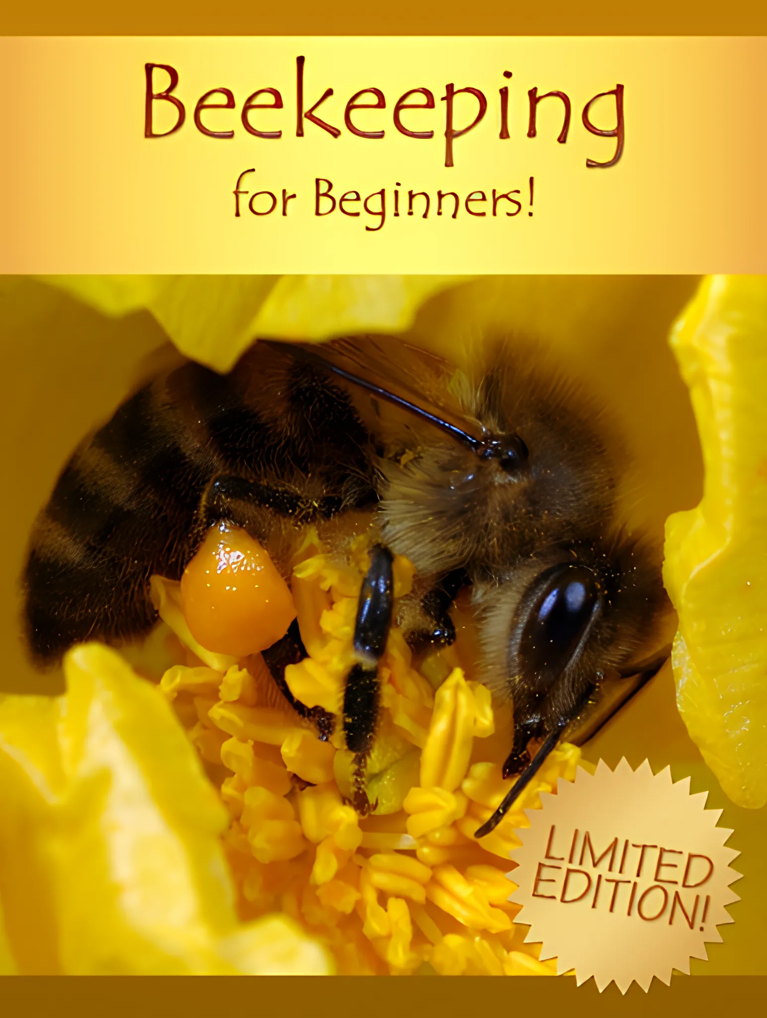 Beekeeping for Beginners Intro to Hive Care & Honey Harvesting - Practical Guide for New Apiarists and Sustainable Honey Farming 2025-2026