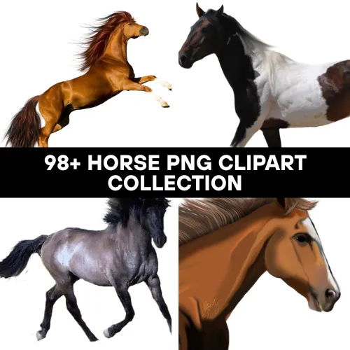 98+ Horse PNG Clipart Collection - Premium Wildlife Horse Illustrations for Creative Designs and Digital Projects 3