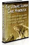 The Ultimate Iguana Care Handbook Habitat, Health & Feeding - Comprehensive Guide for Iguana Owners and Enthusiasts in 2025-2026 3