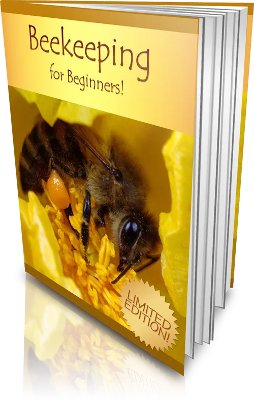 Beekeeping for Beginners Intro to Hive Care & Honey Harvesting - Practical Guide for New Apiarists and Sustainable Honey Farming 2025-2026 3