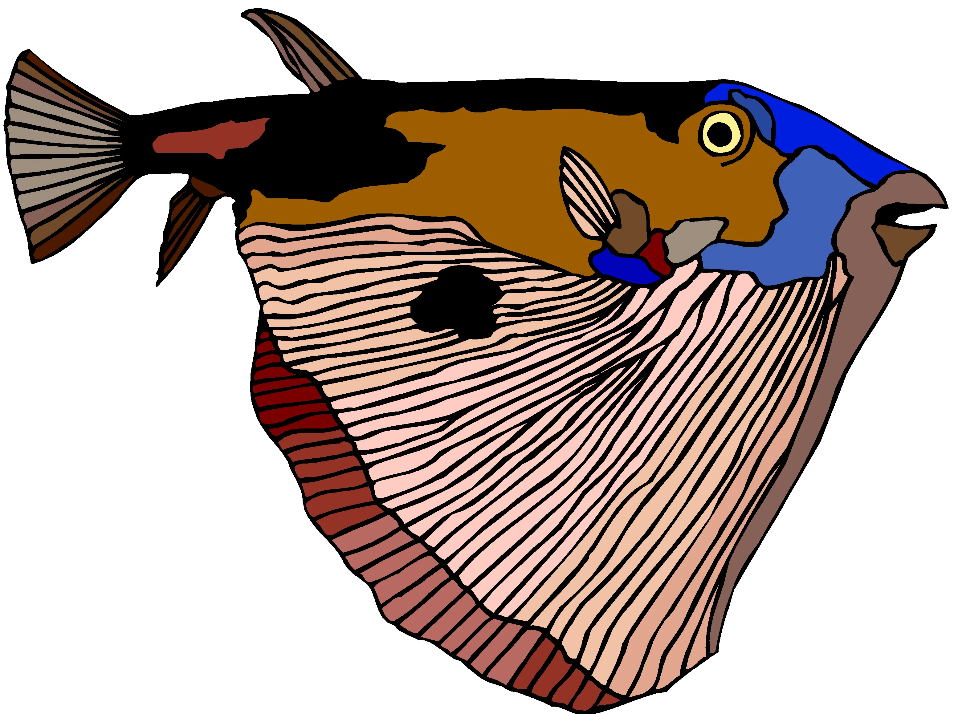 Ocean Fish Aquatic Clipart Set Vol2 - Vibrant Vector Wildlife Illustrations for Creative Designers and Digital Projects