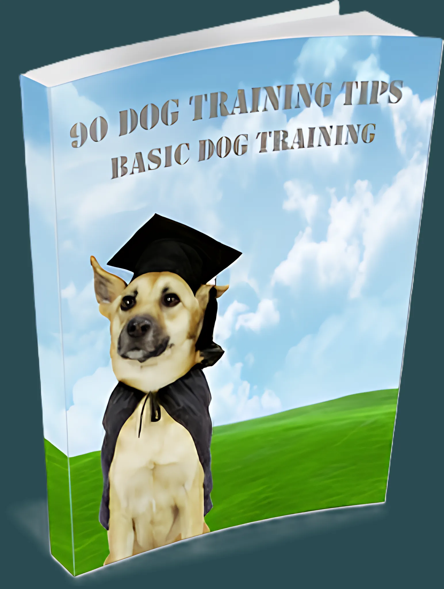 90 Days Dog Training Tips Free Beginner-Friendly Behavior Plan - Practical Canine Training Guide for Pet Owners and Enthusiasts 3