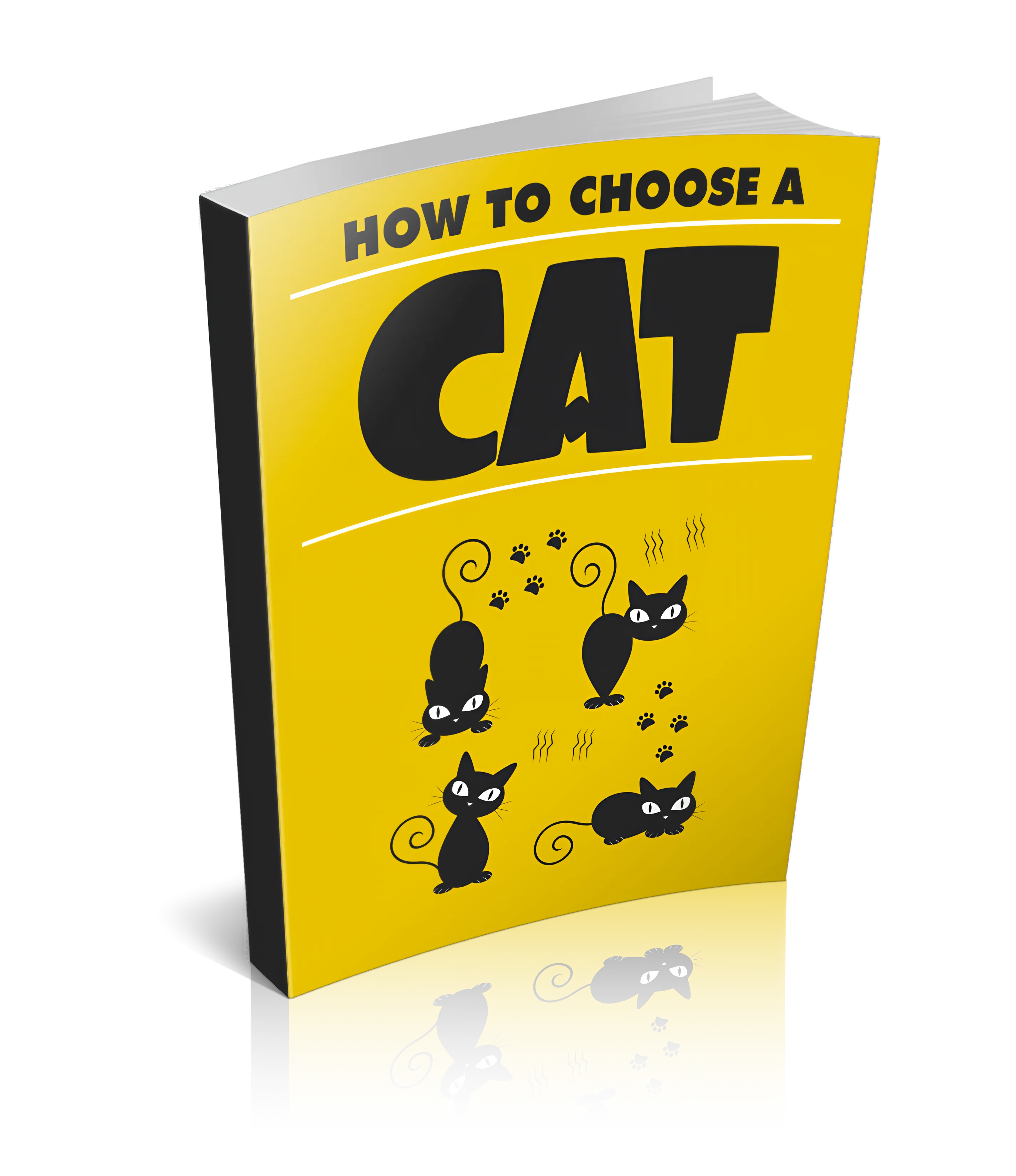 How to Choose a Cat Adoption & Personality Matching Guide - Expert Tips for Pet Lovers and Successful Cat Adoption 3