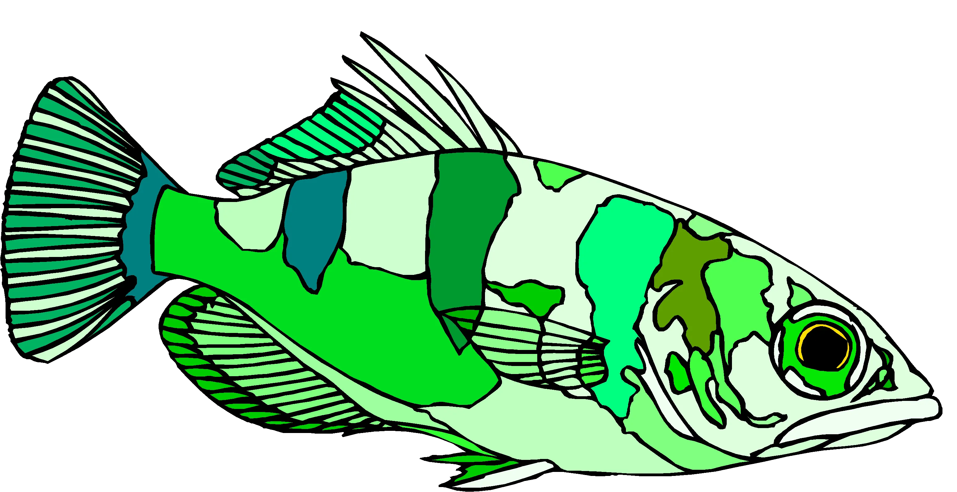 Ocean Fish Aquatic Clipart Set Vol2 - Vibrant Vector Wildlife Illustrations for Creative Designers and Digital Projects 4