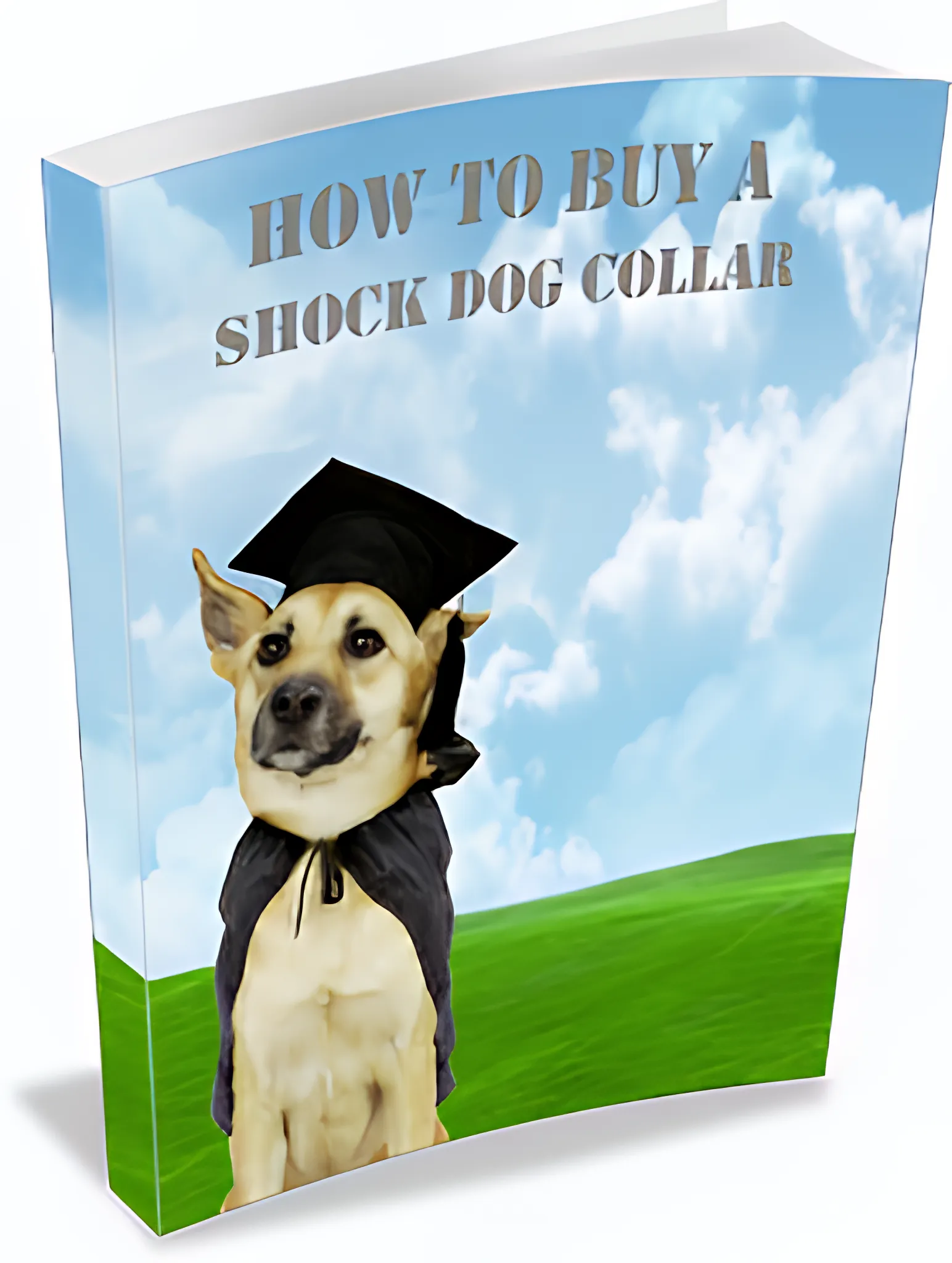 How to Buy a Shock Collar Tools & Tips for Responsible Training - Practical Guide for Pet Owners and Trainers 6