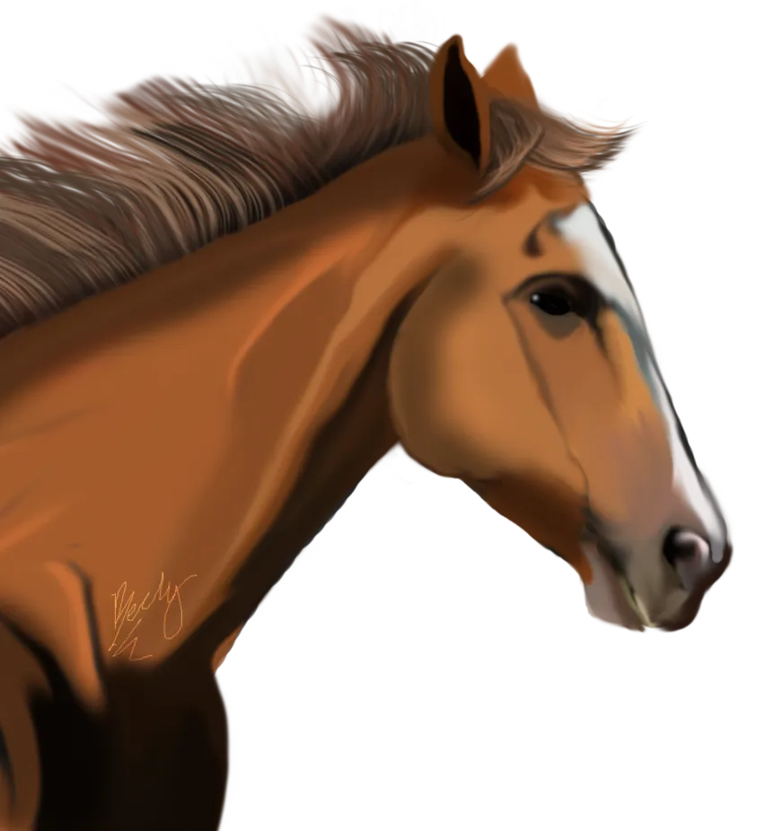 98+ Horse PNG Clipart Collection - Premium Wildlife Horse Illustrations for Creative Designs and Digital Projects