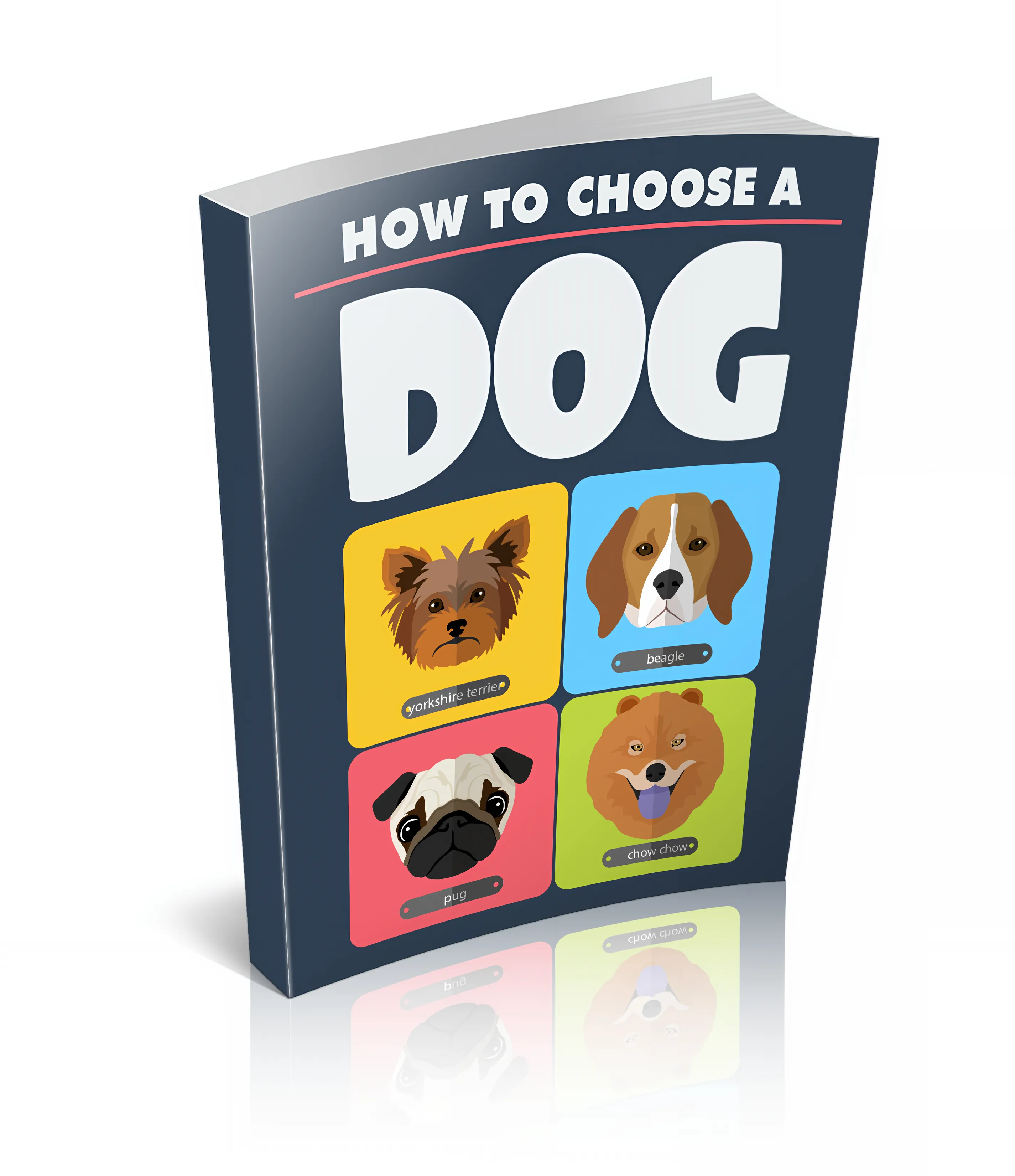 How to Choose a Dog Find the Perfect Breed for You - Practical Guide for Selecting Your Ideal Canine Companion 3