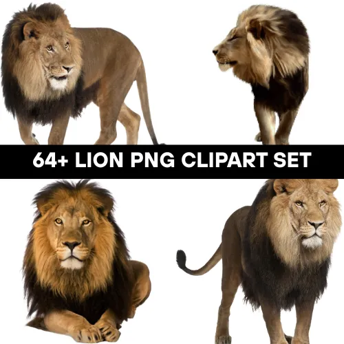 64+ Lion PNG Clipart Set - Premium Wildlife Animal Illustrations for Creative Projects and Branding 4