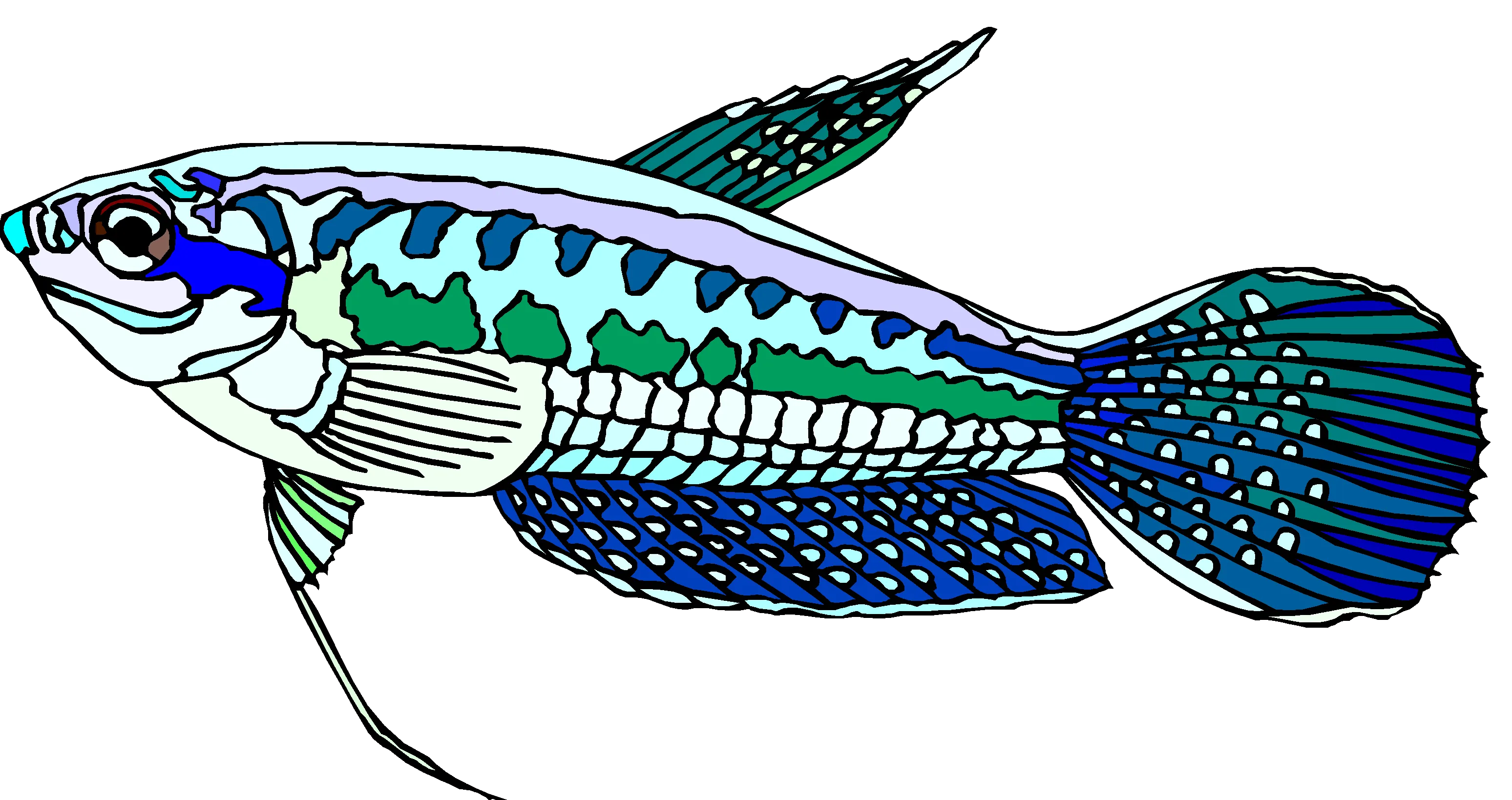 Ocean Fish Aquatic Clipart Set Vol2 - Vibrant Vector Wildlife Illustrations for Creative Designers and Digital Projects 3