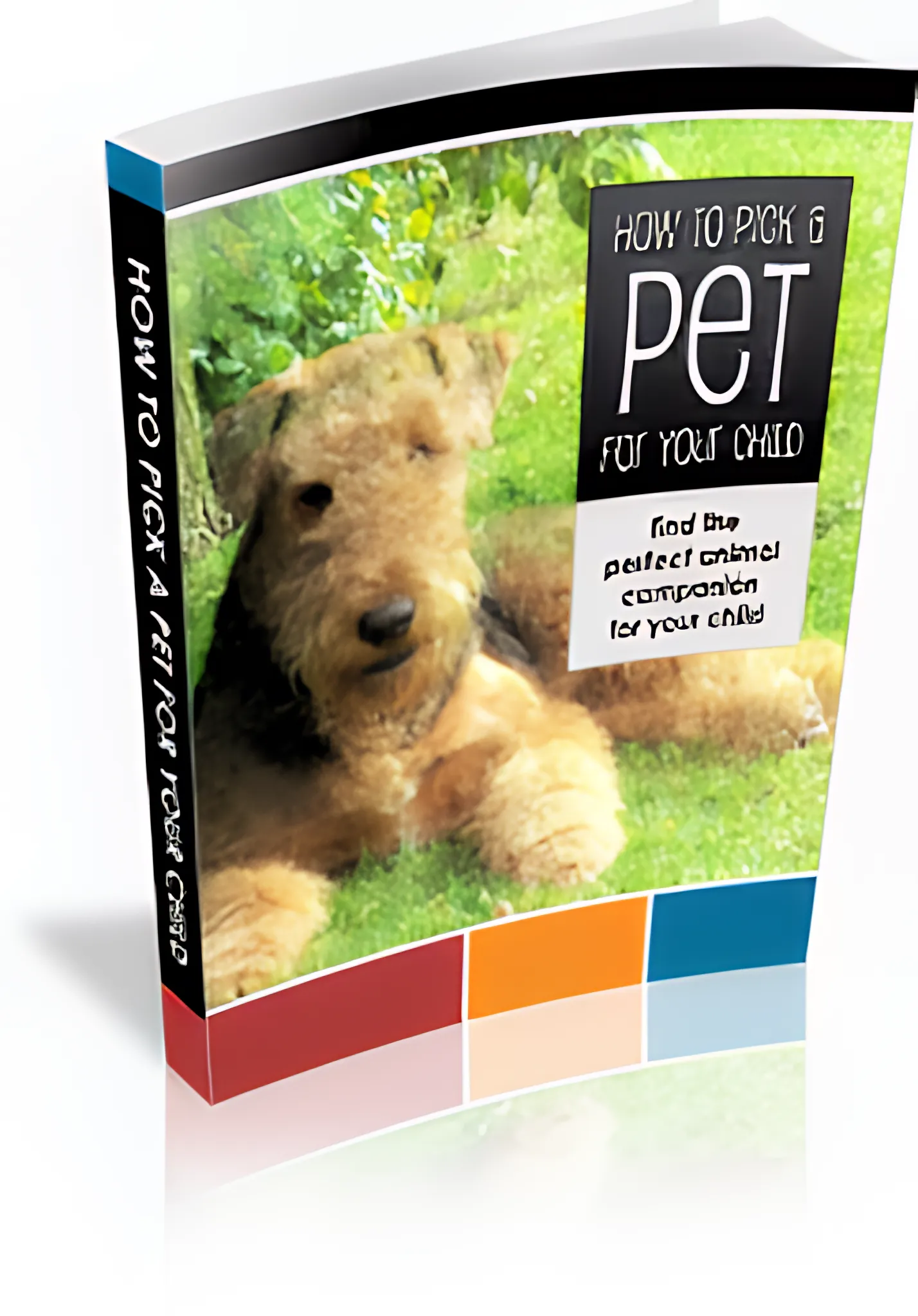 How to Pick a Pet for Your Child Safe & Fun Choices Explained - Expert Guide for Parents Choosing Child-Friendly Pets Safely 3