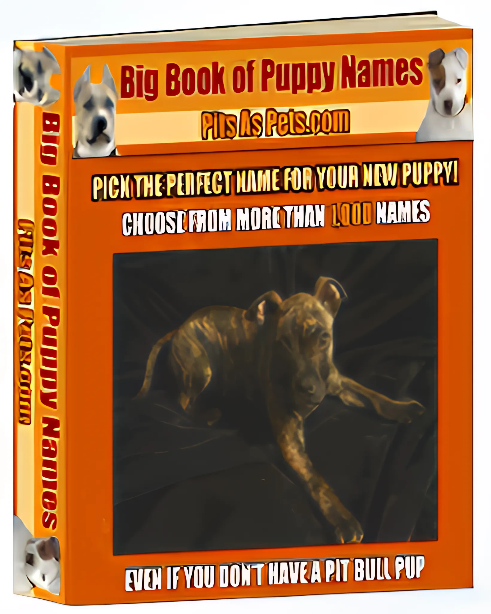 The Big Book of Puppy Names - Creative Ideas and Meaningful Choices for New Dog Owners and Enthusiasts 3