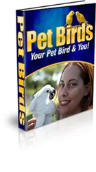 Pet Birds Care Feeding Cage Setup Essentials - Comprehensive Guide for Bird Owners and Enthusiasts 3