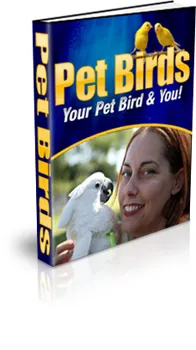 Pet Birds Care Feeding Cage Setup Essentials - Comprehensive Guide for Bird Owners and Enthusiasts