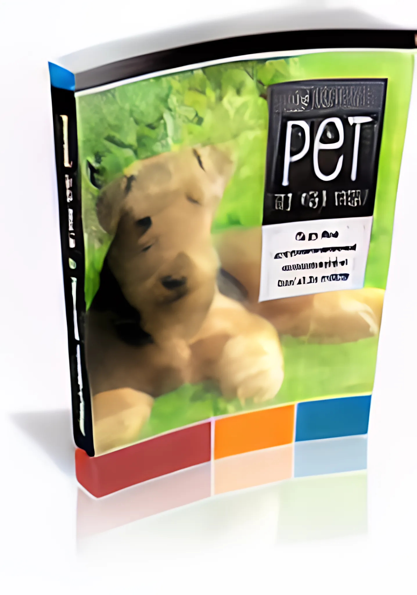 How to Pick a Pet for Your Child Safe & Fun Choices Explained - Expert Guide for Parents Choosing Child-Friendly Pets Safely 4