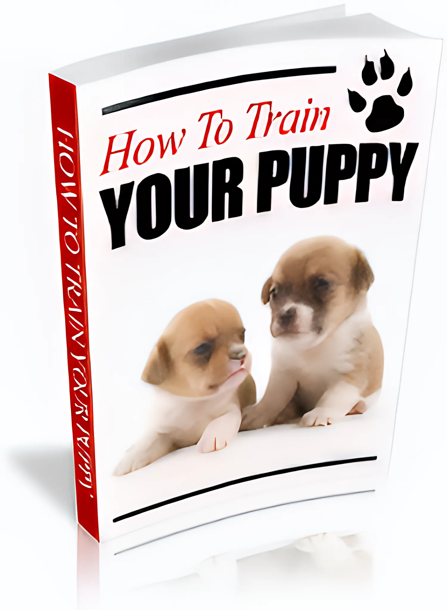 How to Train Your Puppy Potty, Obedience & Daily Habits - Practical Puppy Training Guide for New Pet Owners and Enthusiasts 3